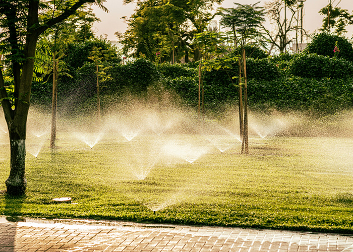 A professionally installed sprinkler system by Loewen Greenhouses & Landscaping watering a lush green lawn